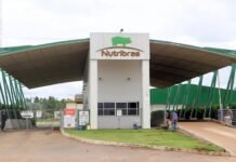 Nutribras amplia recrutamento em Santa Carmem