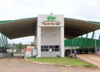 Nutribras amplia recrutamento em Santa Carmem