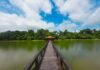 Parque Florestal de Sinop terá programação especial neste sábado (19)