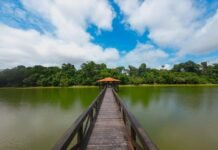 Parque Florestal de Sinop terá programação especial neste sábado (19)