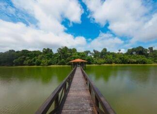 Parque Florestal de Sinop terá programação especial neste sábado (19)