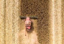 Mato Grosso exporta US$ 2,1 bilhões em setembro para 115 países