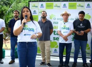 Cultiva Sinop incentiva moradores a plantar árvores e o compromisso com a sustentabilidade