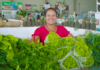 Lucas do Rio Verde prorroga até quarta-feira (21) prazo para agricultores se inscreverem no PAA