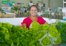 Lucas do Rio Verde prorroga até quarta-feira (21) prazo para agricultores se inscreverem no PAA