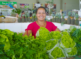 Lucas do Rio Verde prorroga até quarta-feira (21) prazo para agricultores se inscreverem no PAA