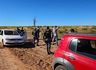 Forças de segurança de MT já frustraram 12 invasões de terras em 2026