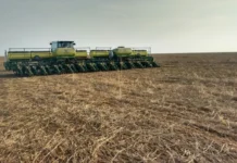 Plantio da soja chega a 42,8% e segue acima da média histórica; MT supera 75%