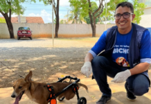 Sorriso aplicou mais de 16,5 mil doses da vacina antirrábica