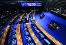 Votos para o Senado exigem atenção redobrada do eleitor